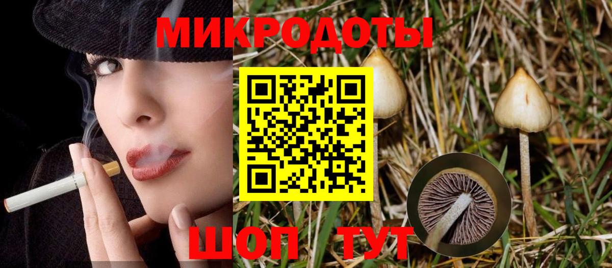 Галлюциногенные грибы мухоморы  Вход с VPN  сколько стоит  Чернушка 