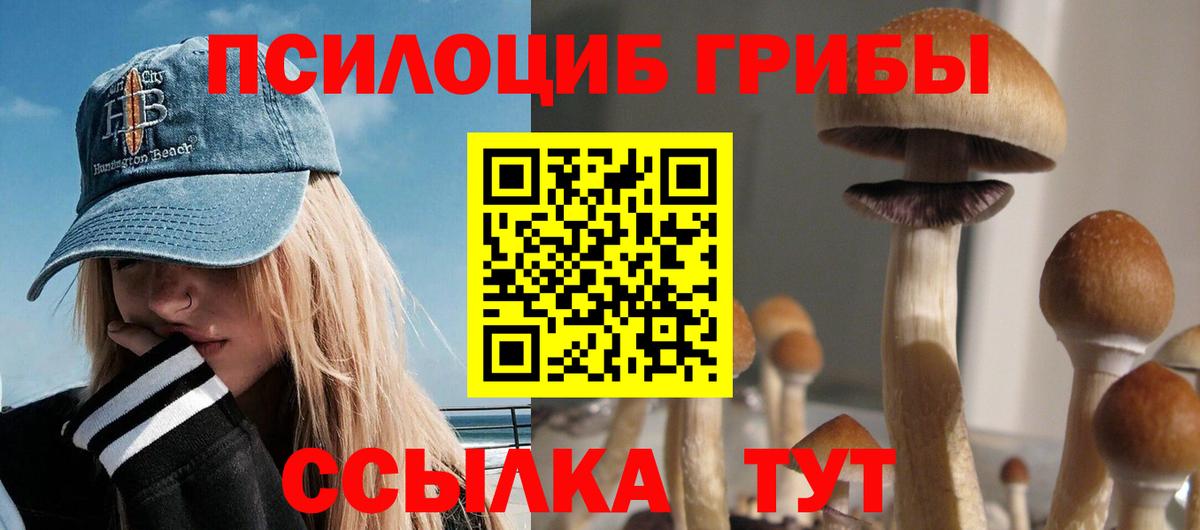 Псилоцибиновые грибы Cubensis Чернушка